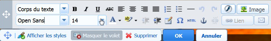 Logiciel de création de site Web